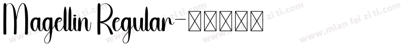 Magellin Regular字体转换
